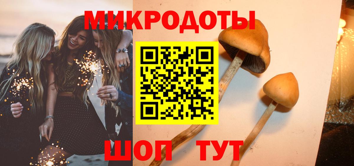 Галлюциногенные грибы Psilocybine cubensis  Псилоцибиновые грибы ЛСД  Ржев  Вход с VPN 