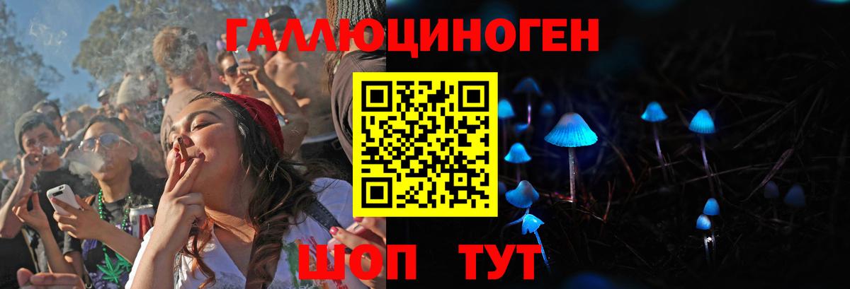 ГАШИШ Ржев